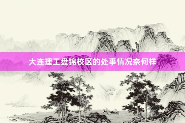 大连理工盘锦校区的处事情况奈何样