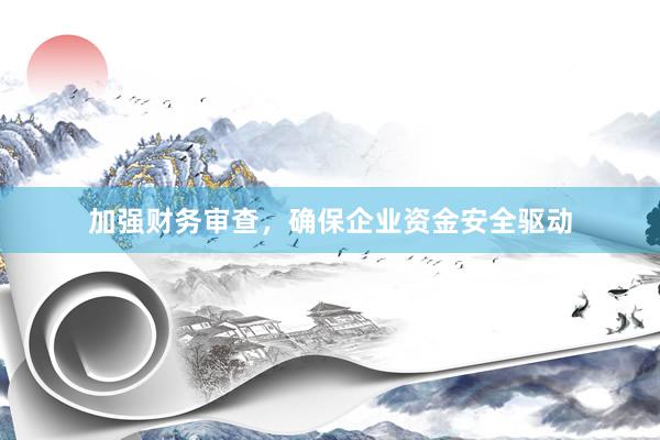加强财务审查，确保企业资金安全驱动