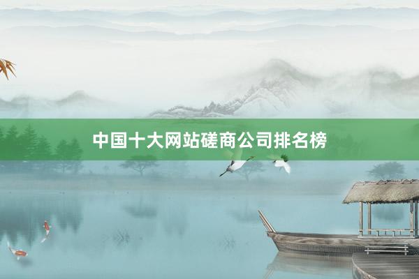 中国十大网站磋商公司排名榜