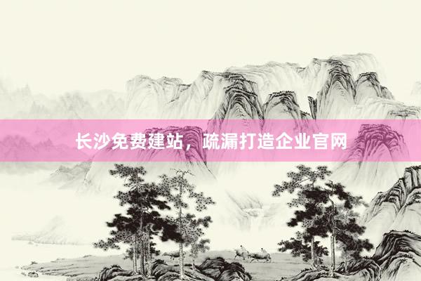 长沙免费建站，疏漏打造企业官网