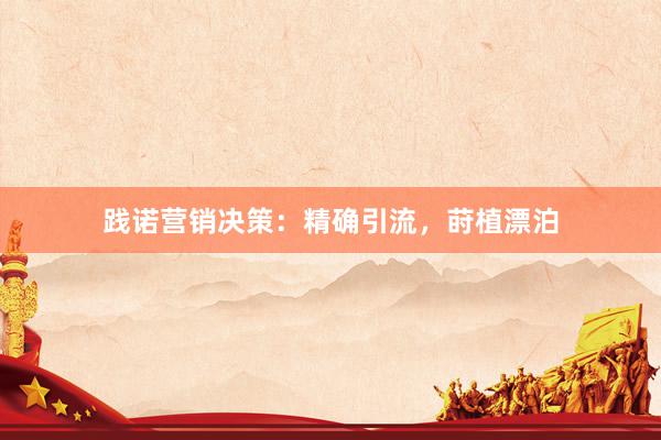 践诺营销决策：精确引流，莳植漂泊