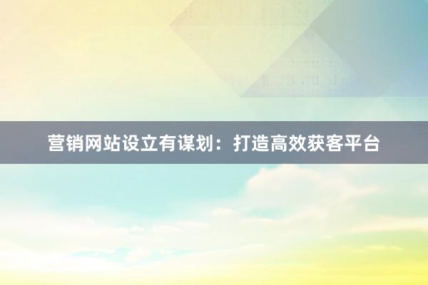 营销网站设立有谋划：打造高效获客平台