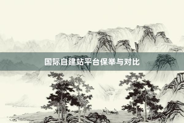 国际自建站平台保举与对比
