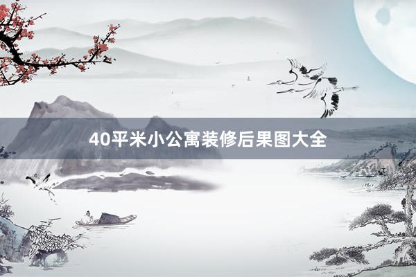 40平米小公寓装修后果图大全