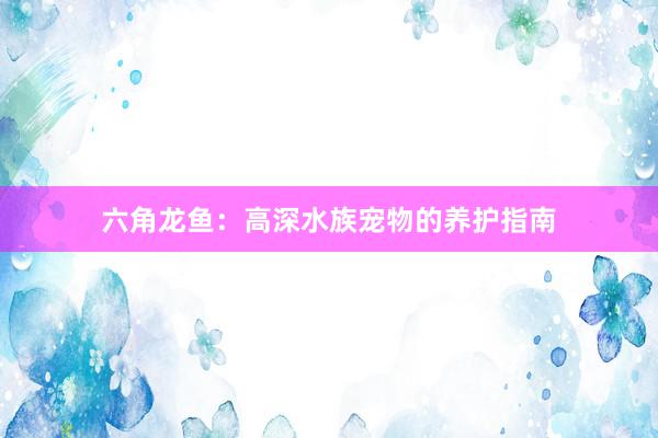 六角龙鱼：高深水族宠物的养护指南