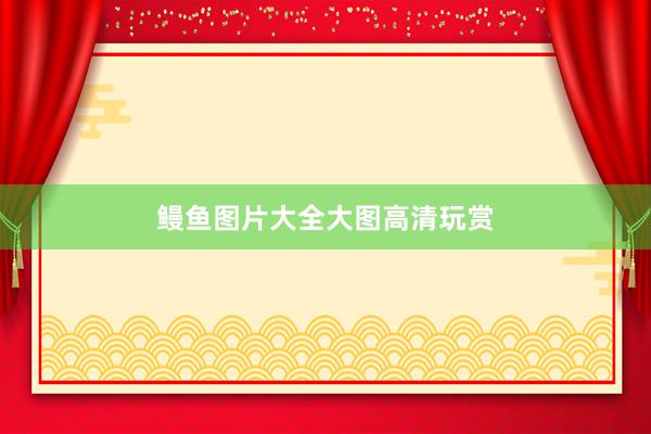 鳗鱼图片大全大图高清玩赏